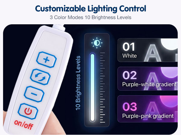Customizable Lighting Control