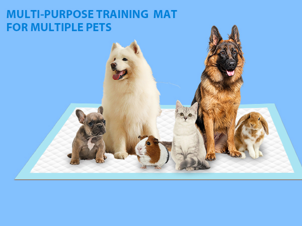 Multi-Purpose Training Mat For Multiple Pets