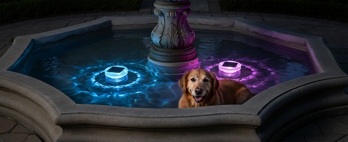 Fountains/Ponds: