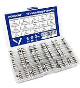 250pcs Fast Blow Glass Tube Fuses, WOWOONE Fuses Assortment kit, Lifetime, Nice Assortment of Fus...