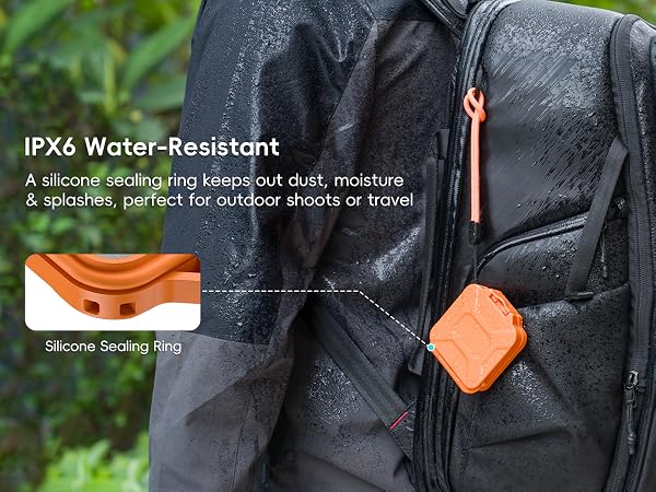 sd card case