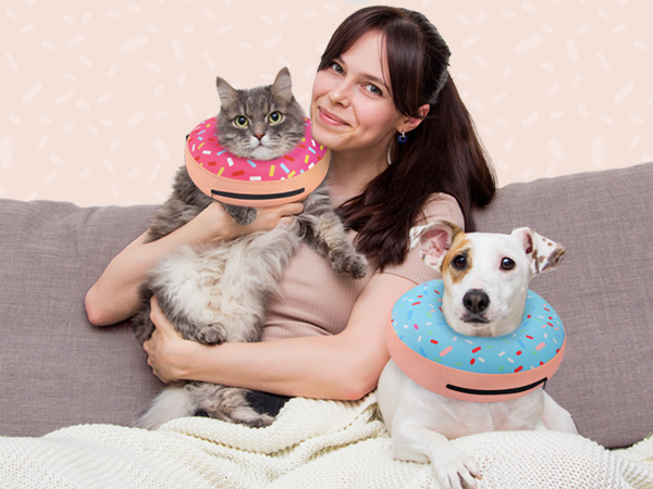 inflatable dog cone