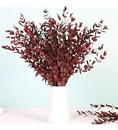 Dried Eucalyptus Leaves Stems, Real Preserved Fresh Eucalyptus Plant for Shower, Small Dried Will...