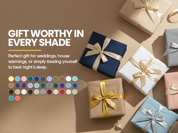 Every Shade
