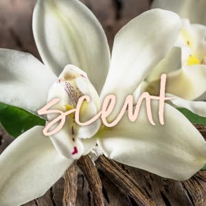 Tree Hut vanilla gel wash scent