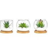 Mkono Artificial Succulent in Clear Glass Pot, Set of 3 Mini Potted Fake Plants for Women Office ...