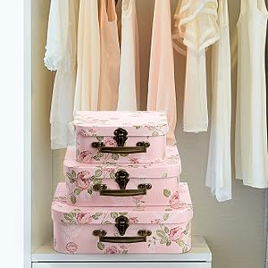 Suitcases Storage Box