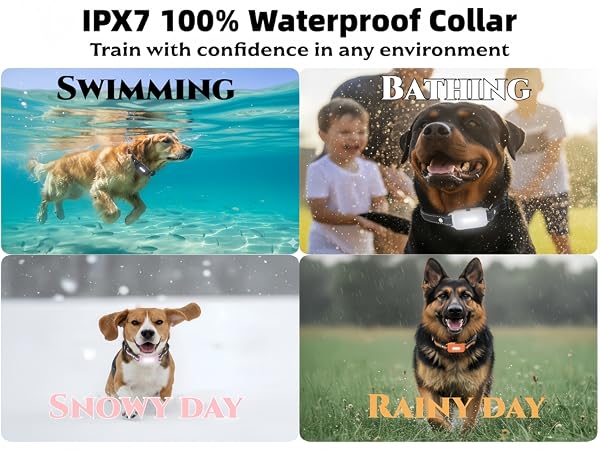 shock collar for dogs 60-100 lbs waterproof