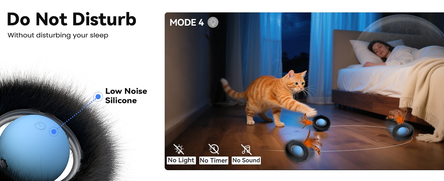 cat toy