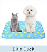 Blue Duck