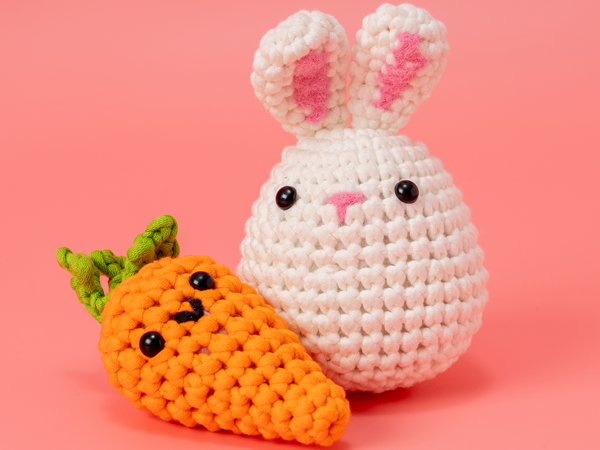 Amigurumi Crochet Kit
