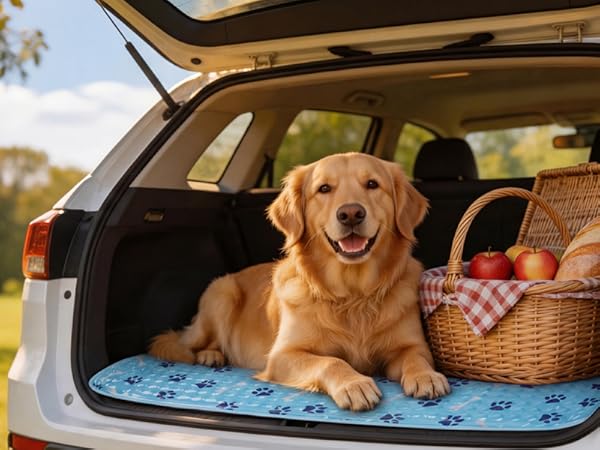 dog cooling bed