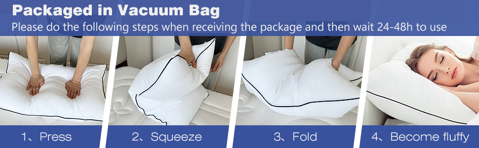standard pillows set of 2