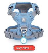 Pawaii Dog Harness for Small Dogs