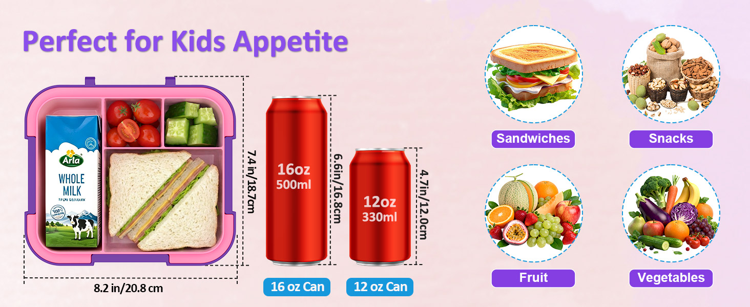 bento lunch box for kids