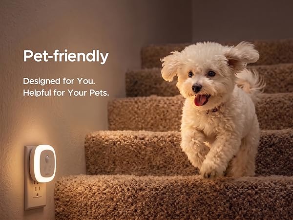 Pet-friendly - Provides lighting for your cats and dogs while they eat or drink.