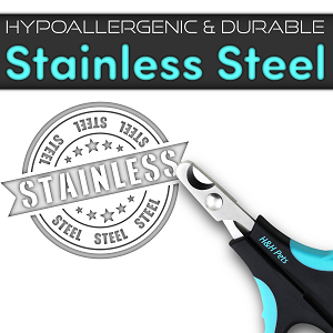 Stainless Steel
