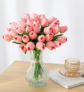 pink tulips