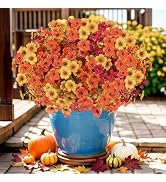 Artificial Flowers for Outdoor,Silk Flowers No Fade Fake Plastic Flowers Faux Plants for Outdoors...