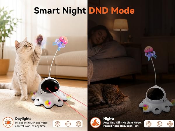 kitten toys