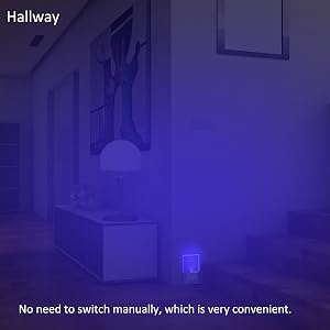 night light LED