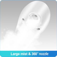 large mist