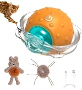 Sofolor Interactive Cat Toys for Indoor Cats, Electric Cat Mouse Toy, Automatic Kitten Toys for B...