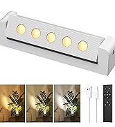 LED Spotlights Indoor
