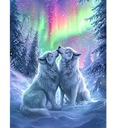 Ginfonr DIY 5D Diamond Art Kits for Adults, Wolf Diamond Painting for Adults, Diamond Art Aurora ...