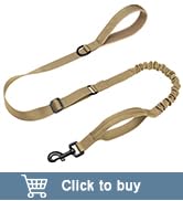 tactical dog leash
