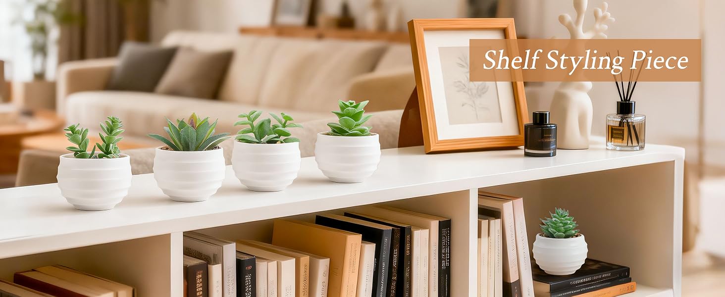 Succulents Plants Artificial in Pots