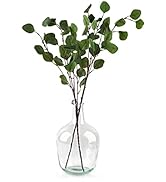 Bfttlity Clear Glass Vase Tall Farmhouse Vase for Branches Glass Vases for Centerpieces in Home D...