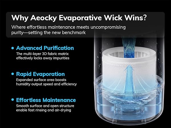 Evaporative Humidifier