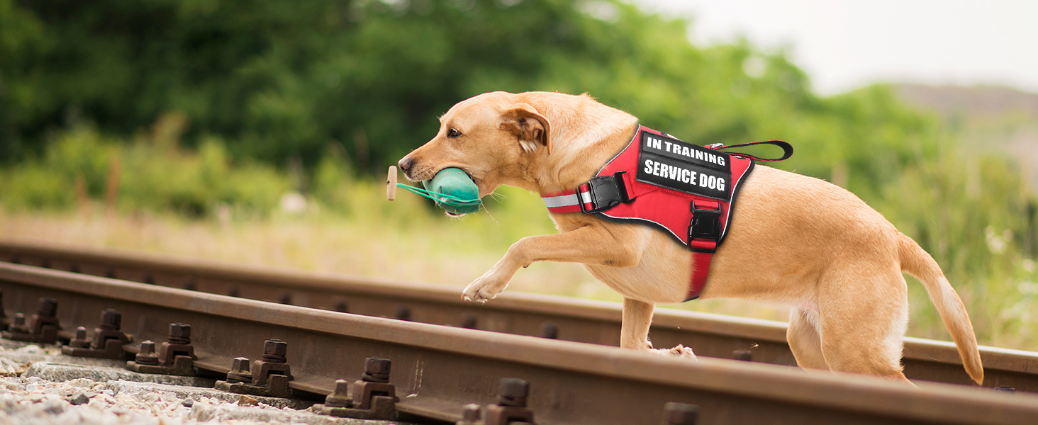 red dog harness for large dogs