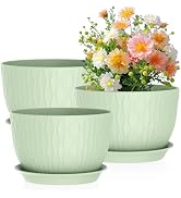 Meowell Large Flower Pots 12/10/9 inch, 3 Set Wide Plant Pots for Outdoor Indoor Plants with Wate...