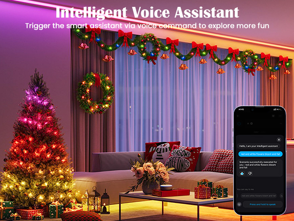 Intelligent Voice Assistant