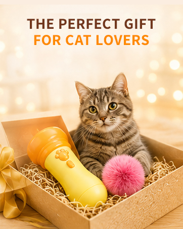 Cat Balls Fetch Toy