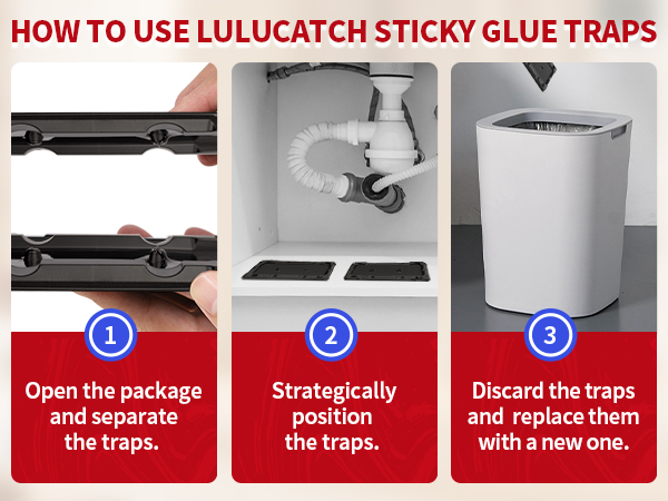 glue traps for mice