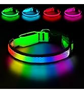 PWOD LED Dog Collar, Light Up Dog Collar USB Rechargeable, Nylon Adjustable Comfortable Soft Brig...