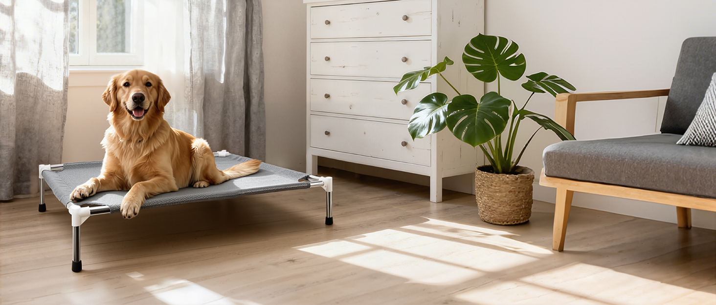 Detachable Pet Bed
