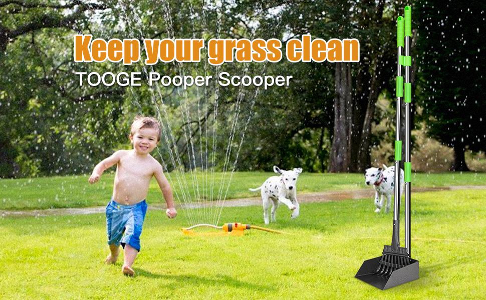 dog pooper scooper