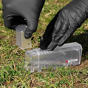 Victor Live Catch Mouse Trap is safe for people and pets when used as directed