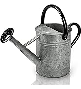 Cesun Metal Watering Can 1 Gallon for Outdoors Plants, Galvanized Steel Watering Pot with Removab...