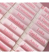 UPAFEXXI-Cloth Bible tabs,Bible Tabs for Women and Men(Pink Embroidered Letters) Large Print Stic...