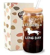 Mikopei Dachshund Gifts for Women Men - It's Been A Long Day Dachshund Glass Cups with Lids and S...