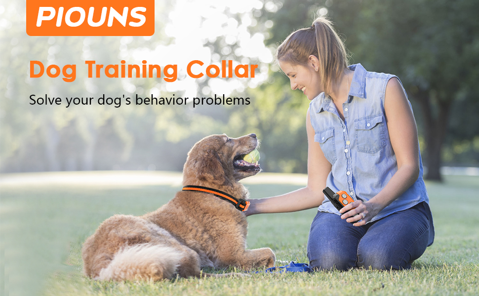 dog training collar