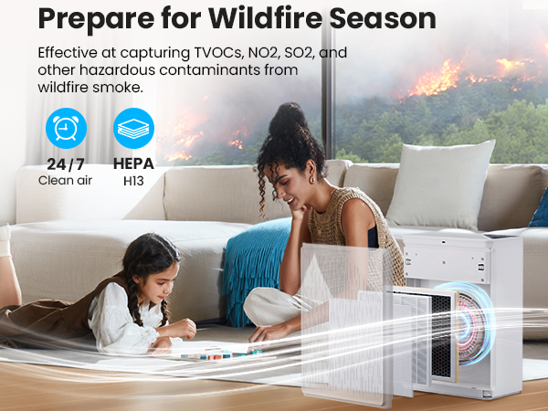 air purifier for wildfire