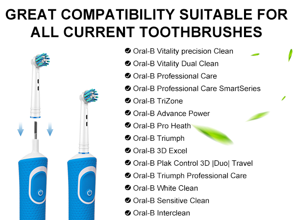 Toothbrush Heads