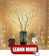 https://m.media-amazon.com/images/S/aplus-media-library-service-media/b60a5bcd-6f31-459f-b3d0-cc89006a8d08.__CR0,0,800,900_PT0_SX200_V1___.jpg