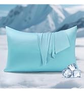 Elegear Cooling Pillow Cases for Hot Sleepers, Clean Fabric Silver Infused Cooling Pillowcase Q-M...